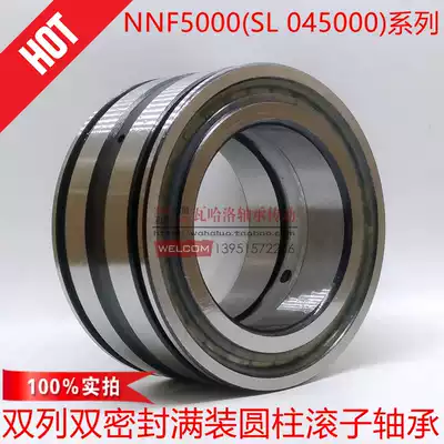 Double row sealed full cylindrical roller Bearings NNF5008 5009 SL045010 5011 5012 5013