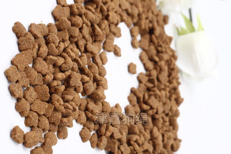 Đích thực Dangdang Thức Ăn Nhanh Con Chó 500 gam Dành Cho Người Lớn Puppy Dog Thực Phẩm Teddy Tha Mồi Vàng Samoyed Dog Thực Phẩm Chính thức ăn cho chó giá rẻ