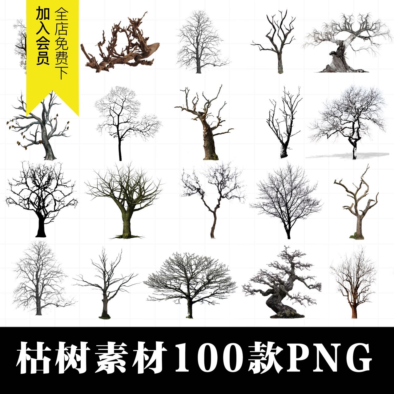 枯樹光禿禿樹枝樹幹荒蕪剪影後期合成PNG免摳透明背景設計PS素材