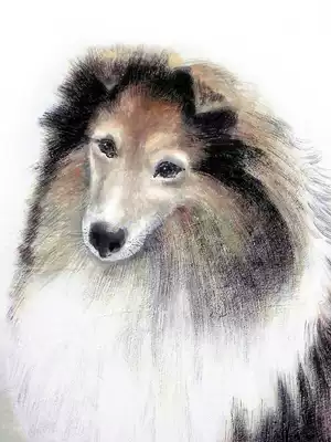 手绘专业国画中堂画动物画真迹字画客厅书画水墨画宠物狗犬装饰画 手绘专业国画中堂画动物画真迹字画客厅书画水墨画宠物狗犬装饰画
