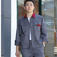 Глубокий серый красный воротник