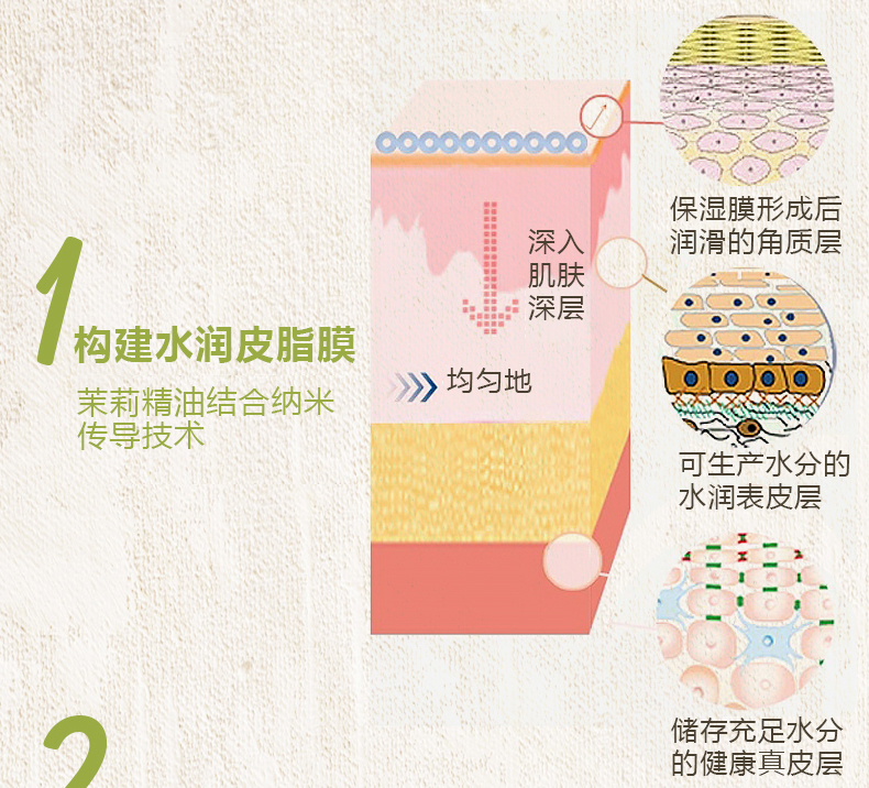 Tốt hoa nhài cỏ dưỡng ẩm kem dưỡng ẩm khóa nước kem 50g mỹ phẩm truy cập - Kem dưỡng da klairs kem dưỡng