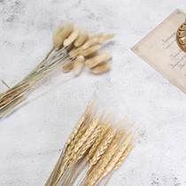 Dried flower wheat ear flower art photo props background cloth ins Wind decoration food photography shooting ornaments ornaments pendulum