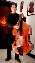Double Bass 3 4 Travel Bass Bass