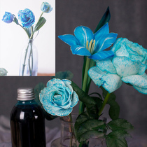 Macaron flower dyeing agent color absorbing agent rose culture liquid coloring dye flower dyeing brownies