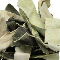 Winter melon rind new arrival dried winter melon rind slices 500g 2 pounds free winter melon powder winter melon rind lotus leaf tea