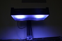 R80 R80 R60 exclusive shade of light cover fish tank