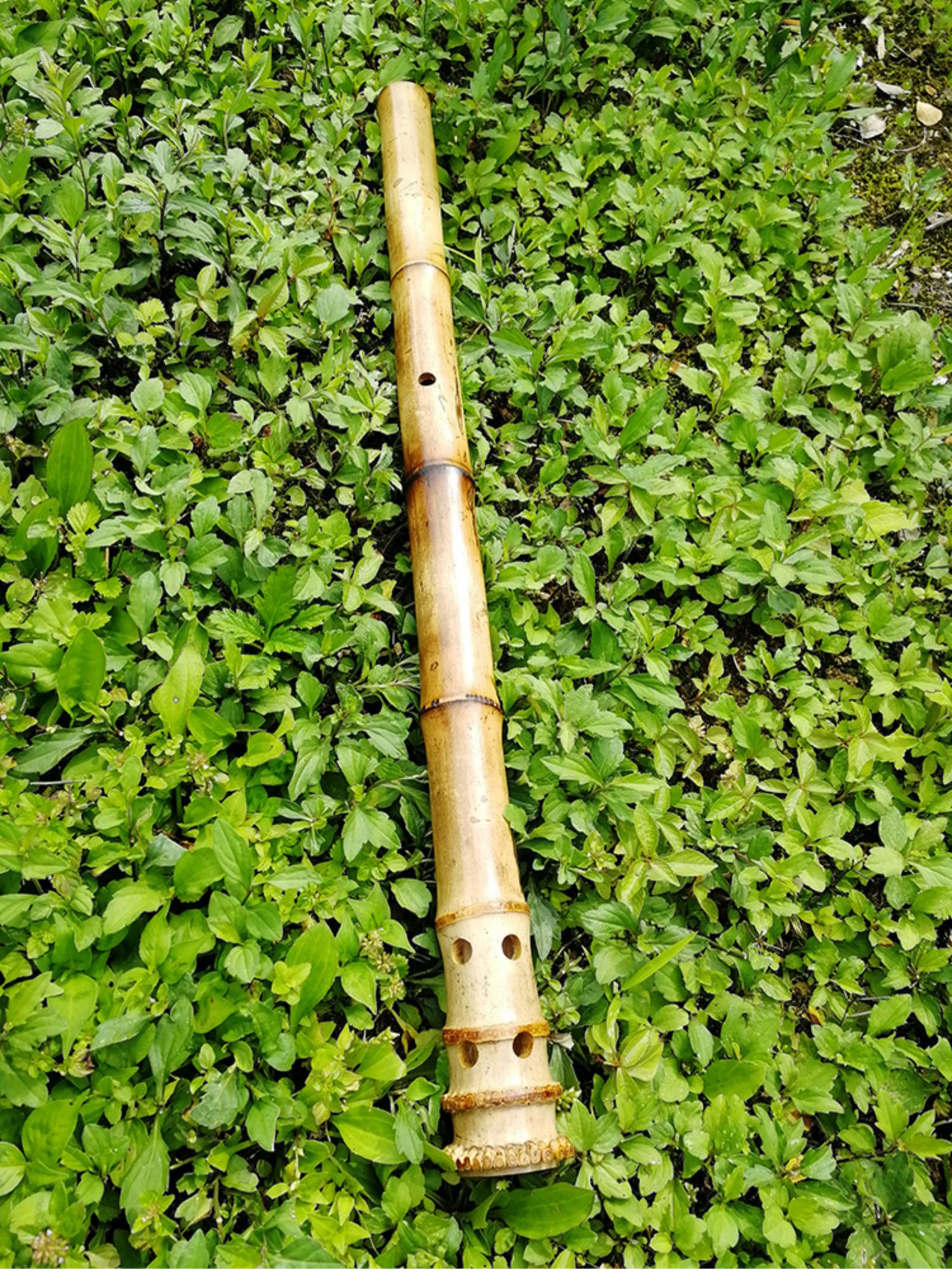 J72101G điều chỉnh đầu nguyệt quế tre già Tang Khẩu shakuhachi phía nam 箫 bên ngoài cắt sừng góc miệng màn ngọc cầm tay nhạc cụ - Nhạc cụ dân tộc đàn cổ cầm giá bao nhiều