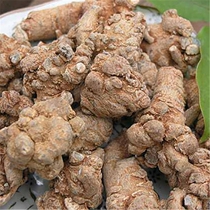 Sanqi 100g2 two premium wild Yunnan Wenshan 30 edible Chinese herbal medicine can play ultrafine powder