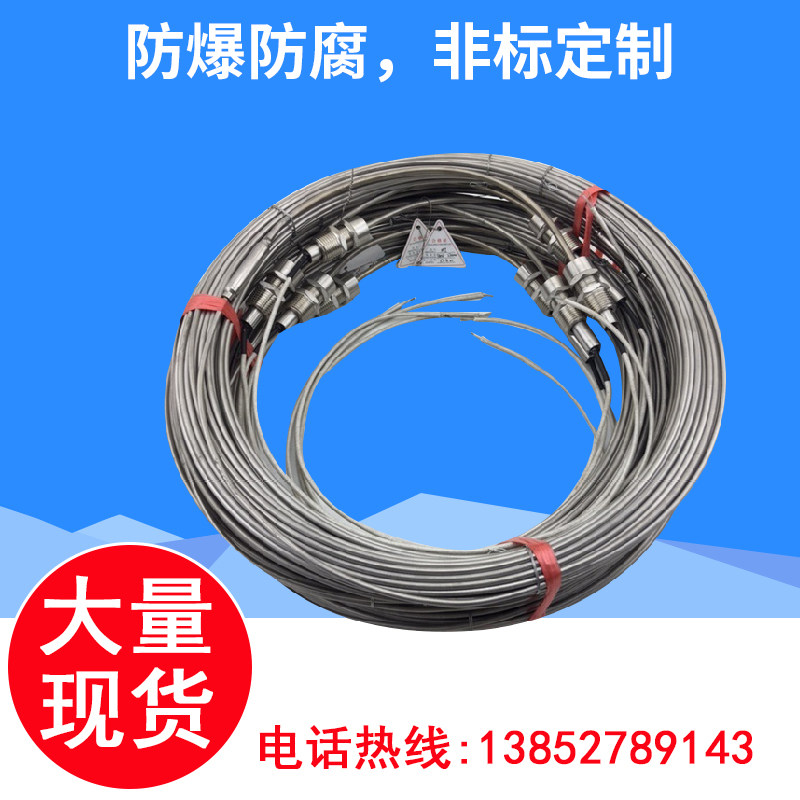 Explosion-proof anti-corrosive sheathed MI heating cable 316 stainless steel mineral insulation electric companion tropical sheathed heating pipe