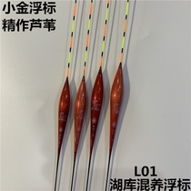 Small Gold floating L01 fine Reed big crucian carp mixed culture big water surface Lake Culofide floating turn up fast eye-catching