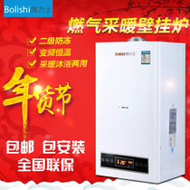  Borix gas electric wall hanging furnace Household heating furnace bath floor heating dual-purpose constant temperature electric boiler 40 50kw