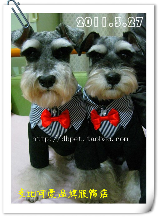 Quần áo cho chó Pet quần áo chó quần áo chó quần áo giả hai bộ đồ Teddy gấu 2019 - Quần áo & phụ kiện thú cưng áo dài cho chó