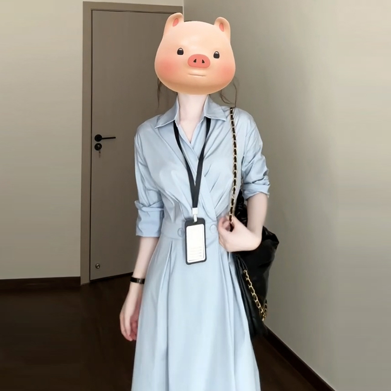 French-Style Long-Sleeved Shirt Dress, Autumn Clothing for Women, 2026 New Korean Style, High-End, Elegant, Waist-Cinching Long Dress for Work