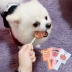 Nhật Bản Duo Man Man Beef Cheese Lollipop Dog Snacks Pet Bite Keo Stick Răng Bar Dog Sugar 18g * 12 Root