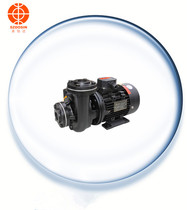 RGP-10 Odd mold temperature machine water pump RGP-20 Xinyi hot oil pump RGP-30 Wendan oil temperature oil oil pump
