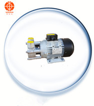 YS-20A YS-20B Tuostar mold temperature machine water pump YS-LY4081FS high temperature water pump YS-30A oil pump