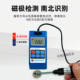 Witt Gauss Meter Wt10B/Wt10C/Wt10D/Ht201 Ac and Dc Surface Magnetic Field Magnetic Tesla Meter