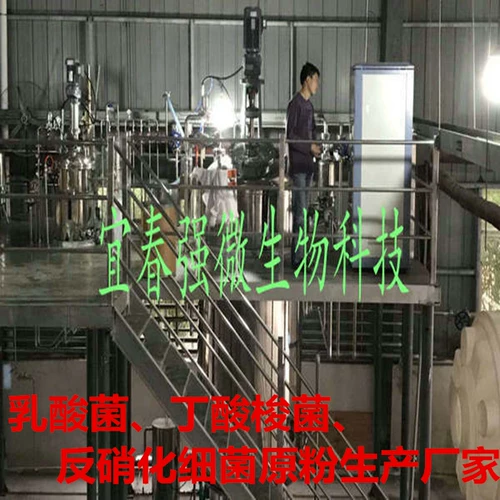 Сильная микро -водная эссенция -аммиак, снижая азот, нитрит становится азотом серы, водорода, водорода, водорослей, нежности и освежания