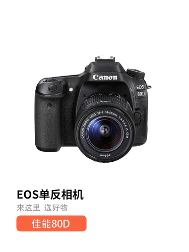 Второй -рука Canon/Canon EOS 70D 60D 80D 90D 77D SLR HD Цифровая камера путешествий