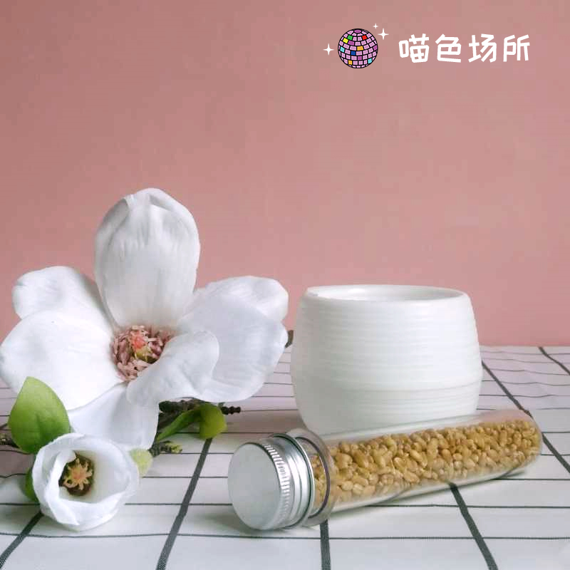 Cat Grass Seed Seed Hydroponic Cultivation Suit Without Earth Basin Kitty ZERO Eating Hair to Mao Ball Four Seasons Fresh