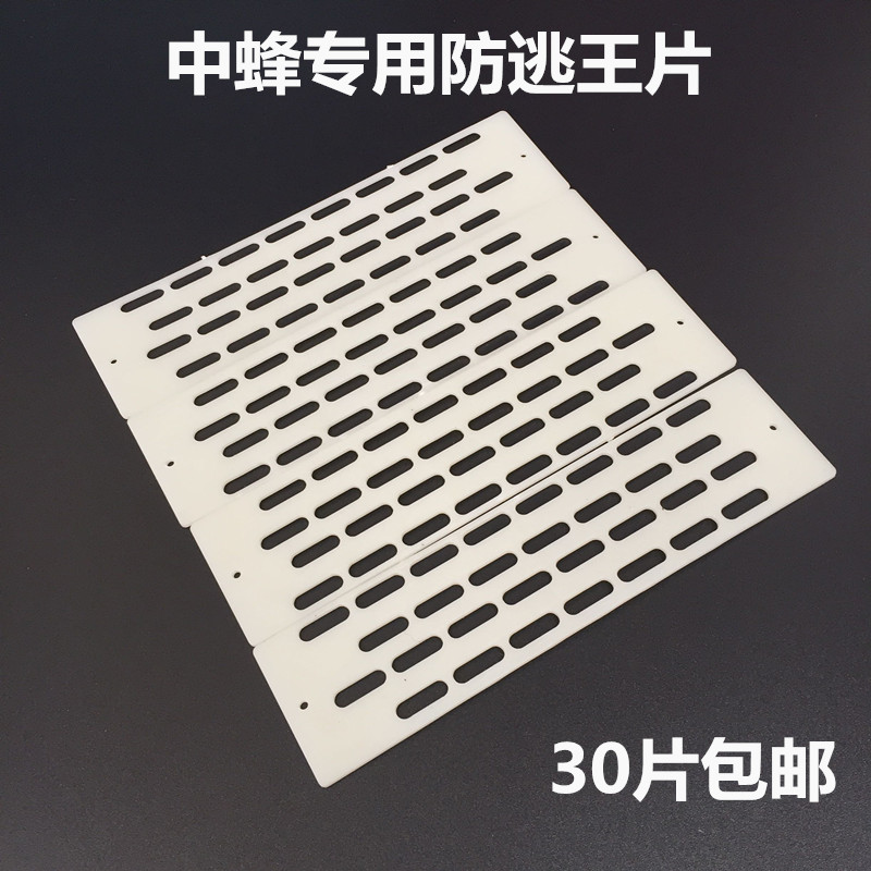 Nest Door Anti-Race King Sheet Quality Plastic Sepp King Swasp Queen Bee Wang Escape Queen Bee Sepp Prevents Scooters in Bee Special Price