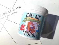 American Bad Air Sponge Air purifier 400g to remove formaldehyde odor scavenger