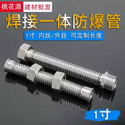 1 inch 304 stainless steel bellows one-piece DN25 water heater inlet pipe Hot and cold explosion-proof metal hose