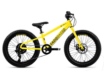 Radio Zuma 20 inch child MTB yellow