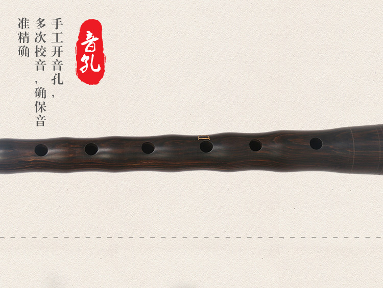 Hongyi Fengming cửa hàng nhạc cụ bằng gỗ mun Pipa toàn bộ D có thể điều chỉnh A BCEFG điều chỉnh nhà máy trực tiếp vận chuyển - Nhạc cụ dân tộc đàn cầm cổ