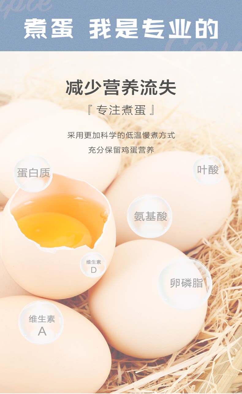 长虹 67度温泉蛋煮机 图5