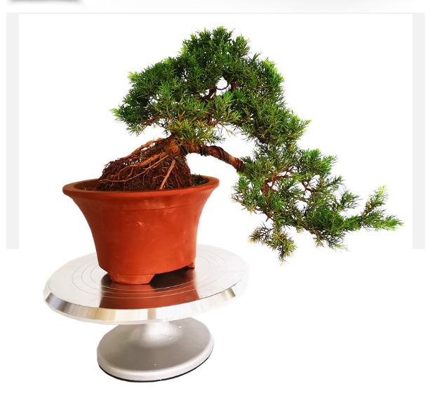 Cây cảnh Bàn xoay Cây cảnh Bàn cắt tỉa Bàn xoay Bàn làm việc Mô hình Bàn xoay Dụng cụ Bàn xoay - Nguồn cung cấp vườn chậu trồng cây