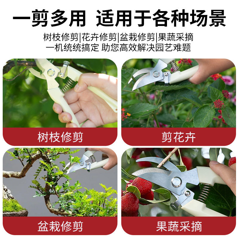 German Fruit Tree Pruning Shears for Cutting Fruit Branches, Gardening Pruning Shears, Labor-Saving Pruning Shears for Thick Branches
