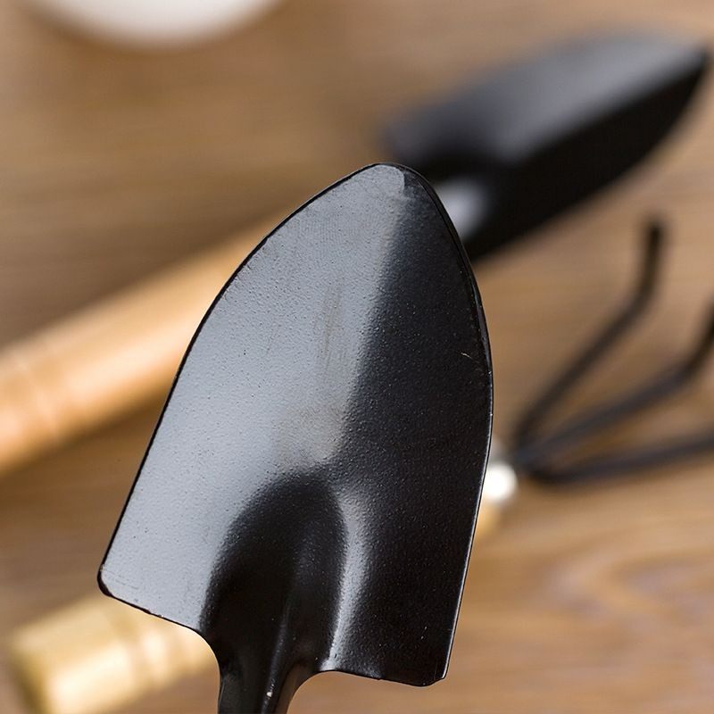 Three-Piece Gardening Shovel Set for Flower Cultivation, Soil Loosening, and Home Gardening, Including Small Shovels, Rakes, and Small Tools for Digging Soil and Collecting Sea Shells