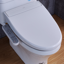 JOMOO Neuf salle de bains pastorale intelligente couvercle intelligent nettoyant corps nettoyant corps de toilette intelligente plaque de couverture Z1D1028