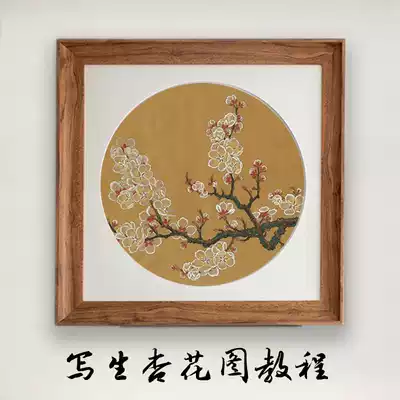 Sketchy apricot flowers and birds introductory traditional Chinese painting zero basic song painting sketch series detailed film course