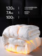 Yaduo Princess Genuine down Quilt 95% White Goose down Five-Star Hotel Spring and Autumn Quilt Winter Quilt Core Thickened for Warmth
