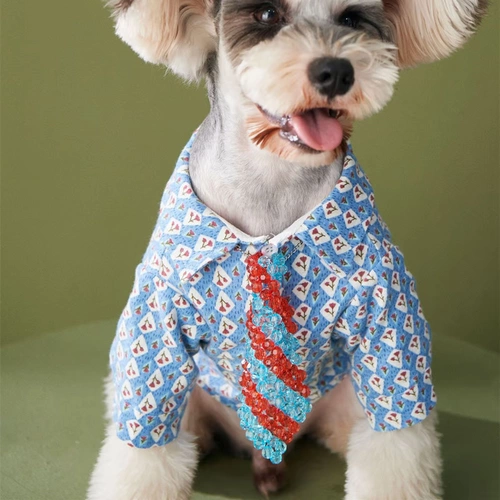 Милый аксессуар, универсальный модный галстук, галстук-бабочка, шарф, популярно в интернете