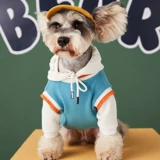 Демисезонный милый пуховик, комплект с капюшоном, демисезонная трендовая толстовка, осенний сезон