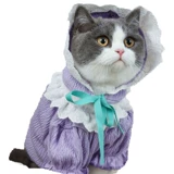 Интернет -знаменитость питомца для кошачья одежда весенняя одежда Новая котенок мини -собака щенок кружев