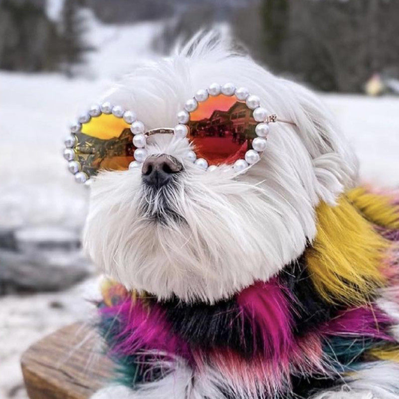 Pet jewelry puppy cute pearl sunglasses cat fashion personality glasses clothing accessories photo props tide