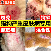 Dermy Dermatosis External medicine Pet Fungus Infestation depiquant Dandruff Scab Long Red Lumpy Dog