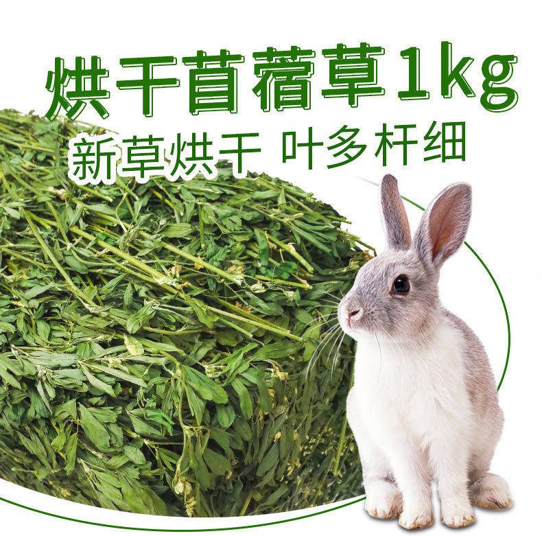 2020 fresh alfalfa natural cold dry rabbit grain hay pasture pet rabbit feed