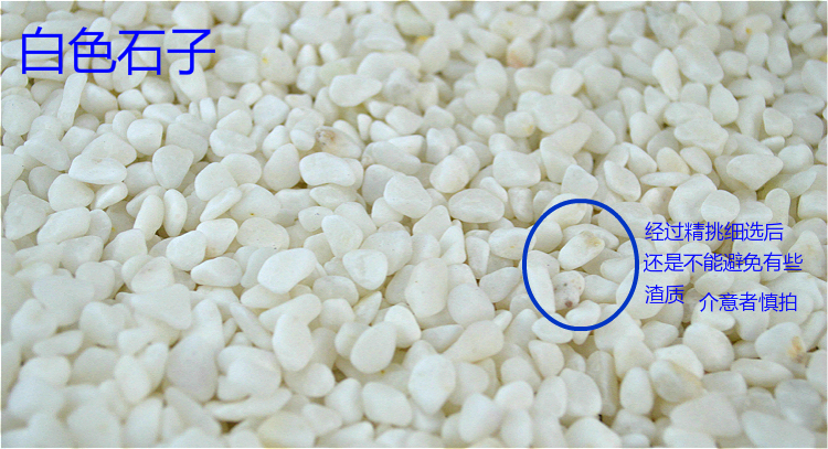 Trang trí bể cá cảnh quan đá cát trắng hồ cá cát đá kết hợp với đá nhỏ màu - Trang trí nội thất phòng ngủ đẹp đơn giản