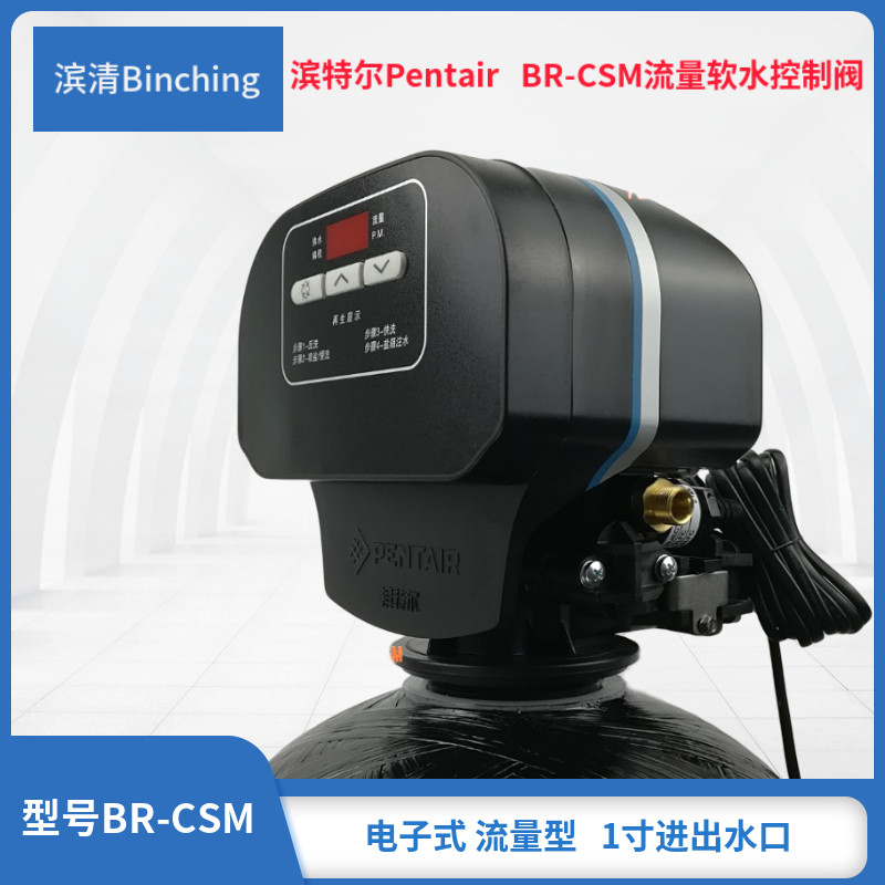 PENTAIR BRCSM Electronic flow type Pentair Water Treatment Control Valve