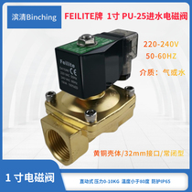 Feilite 1-inch brass inlet electromagnetic valve PU-25 standing closed water treatment equipment inlet control valve