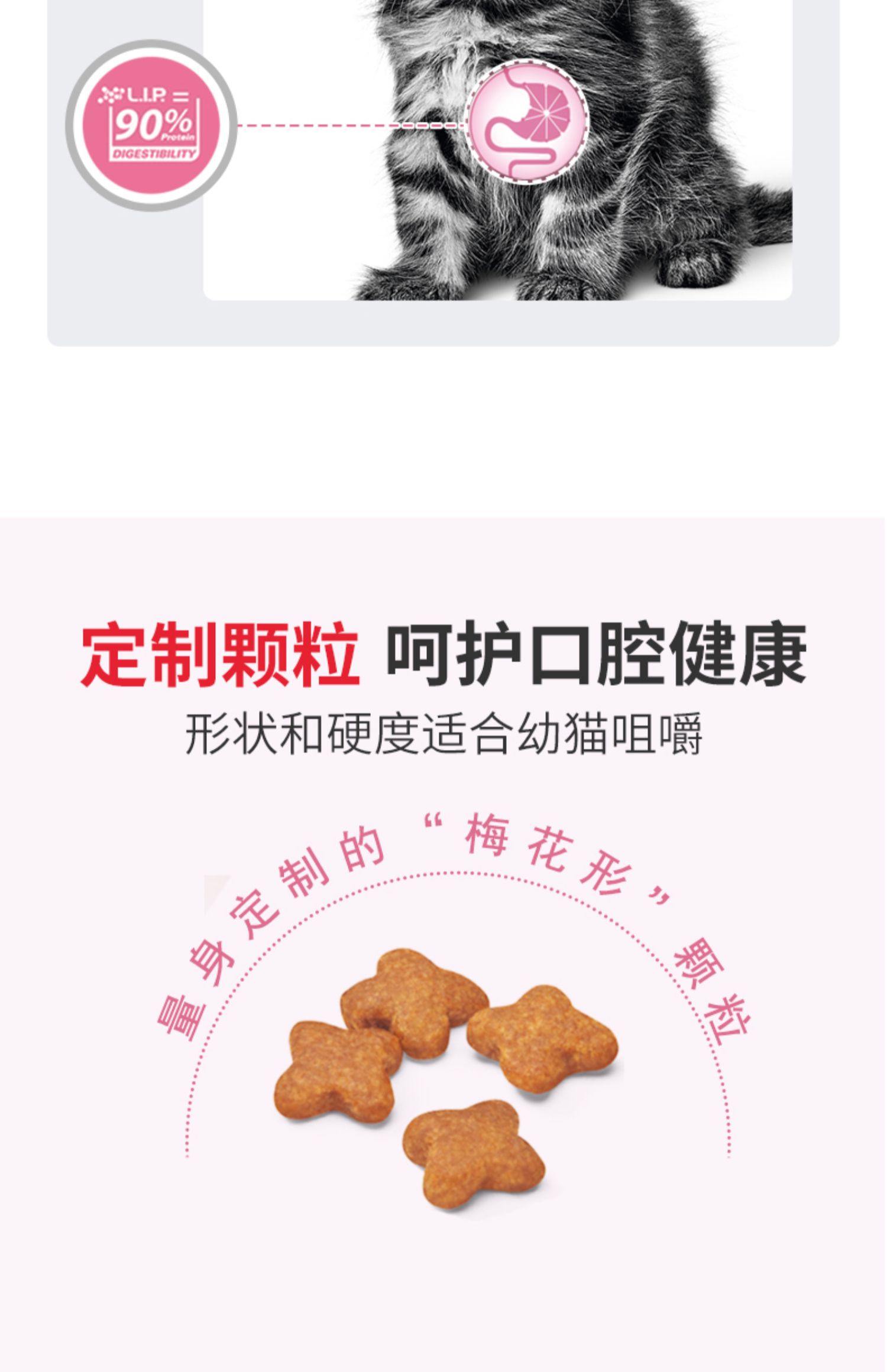 HOÀNG GIA CANIN Royal Pet Food k36 Cat Cat Food Mang thai Mẹ Mèo Garfield Cat Staple phổ biến 2kg - Cat Staples hạt thức ăn cho mèo