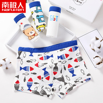 Antarctic childrens underwear mens cotton boxer childrens shorts