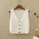 Áo len nữ không tay Áo len hàn quốc nữ mùa thu 2019 nhỏ vest nữ vest ngắn ngoài áo len thủy triều - Đan Cardigan