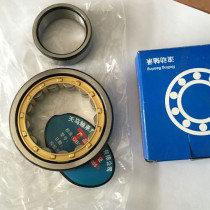 Cylindrical Roller Eccentric Bearing Tianma TMB Bearing 502307 RN307EM RN222EM NJ216EM